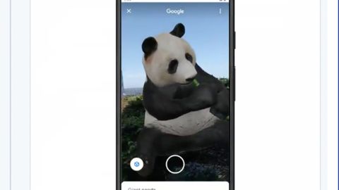 panda google