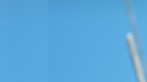 Este es el trabajo ideal para llevarlo a cabo durante la cuarentena.