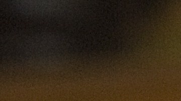 Los perros deben ejercitarse en casa por salud mental y física.