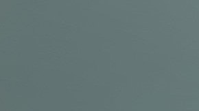 Un perro salió del aburrimiento cuando sus amos le enseñaron a jugar "gato".