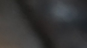 La resequedad de la nariz de tu perro puede deberse a varios factores que no tienen que ver con una enfermedad.