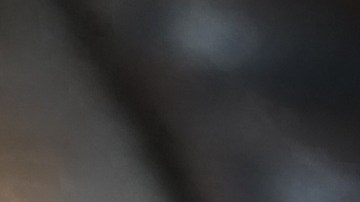 La resequedad de la nariz de tu perro puede deberse a varios factores que no tienen que ver con una enfermedad.