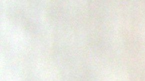 El poderoso olfato canino puede detectar tumores cancerígenos antes de que se formen y otras enfermedades.