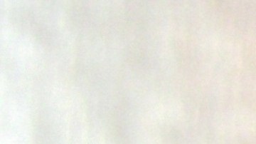 El poderoso olfato canino puede detectar tumores cancerígenos antes de que se formen y otras enfermedades.