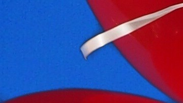 Un can voló al estilo de la película "Up" en un video de Tik Tok.