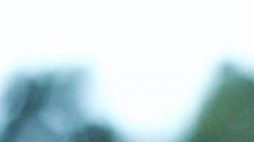 Crea una conexión especial con el planeta.