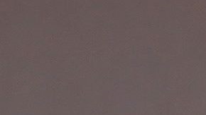 PETA exige que los animales silvestres no estén en espectáculos, ni videos musicales.