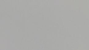 Las plantas ayudan a mantener el equilibrio en tu casa.