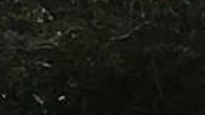 La policía acordonó la zona en el centro financiero de Miami.