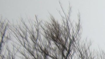 Las autoridades cerraron temporalmente la Ruta 25