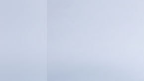 Las piezas de pollo estarán destinadas específicamente a gente que las necesiten.