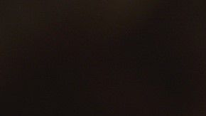 Es importante la participación de todos en el conteo nacional. /Census.gov