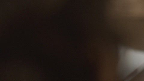 Es importante la participación de todos en el conteo nacional. /Census.gov