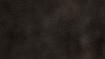 El principal objetivo del plan es eliminar las fuentes de alimentos para las ratas.