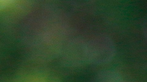 ricardo centurion muerte novia