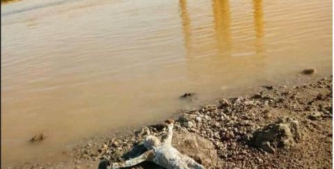 Un objeto llamó la atención de una persona que caminaba cerca,