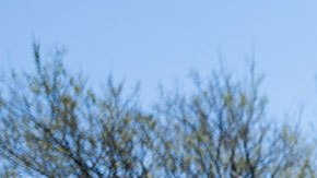 La condición es que los clientes no residan a más de un milla de distancia.