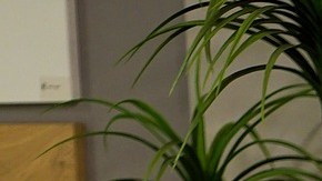 Si almacenas de manera adecuada tu ropa de cama, siempre van a lucir como nuevas.