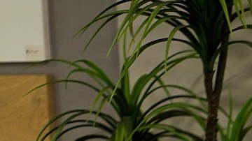 Si almacenas de manera adecuada tu ropa de cama, siempre van a lucir como nuevas.