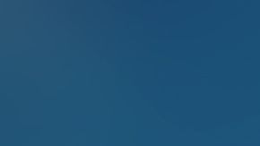 shutterstock_1389076670