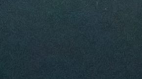 Fenómeno de bioluminiscencia en la playa.