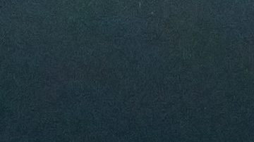 Fenómeno de bioluminiscencia en la playa.