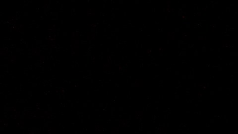 El escalofriante detalle en un video viral que generó terror en las redes.