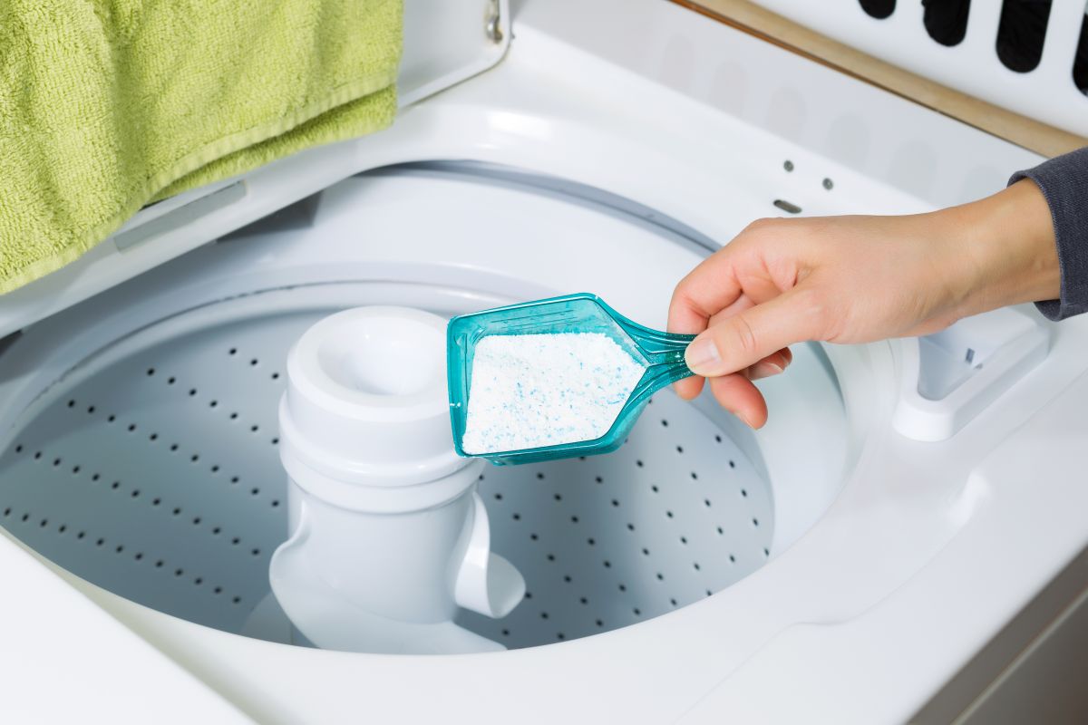 Los 5 mejores detergentes para desinfectar toda tu ropa y cuidar tu piel -  La Opinión