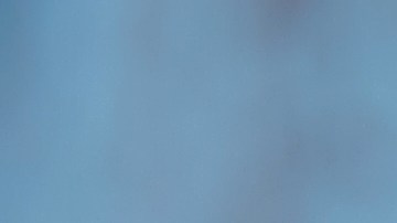 bebida para perder peso