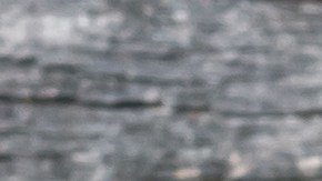 shutterstock_363765368