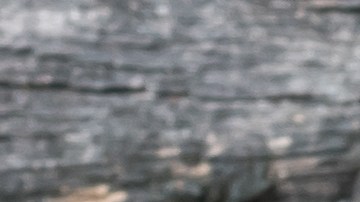 shutterstock_363765368