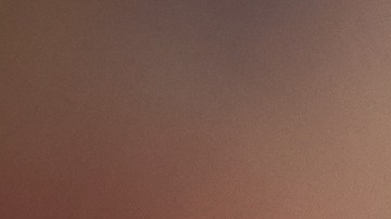 Después de semanas de incertidumbre, pudieron reencontrarse.