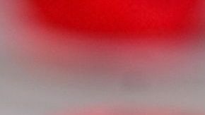 shutterstock_533848210