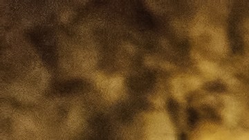 El joven aseguró que le hacía un favor a la humanidad.