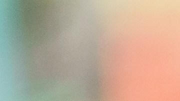 Las labores de estética de los perros en estos días son muy complicados.