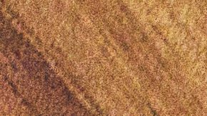 Los amigos más tóxicos del zodiaco.