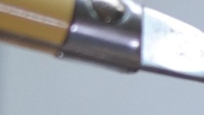 Foto: Ji-yeon Yun/Pixabay