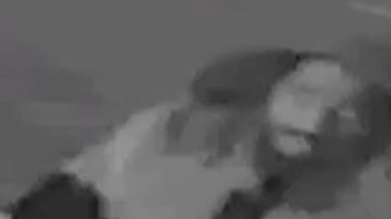 Imagen del sospechoso