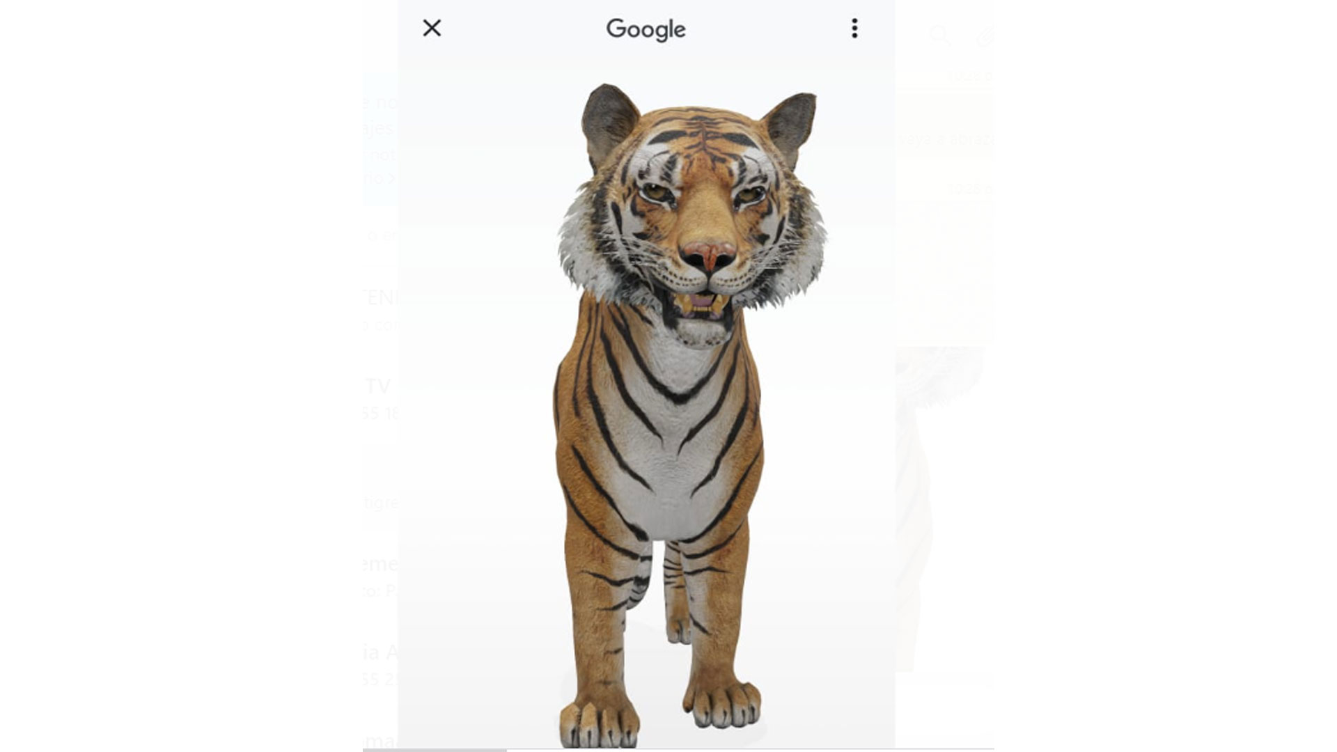 Ahora puedes tener un tigre 3d gracias a Google - Conocimiento Libre