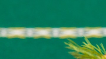 Foto: Pastel100/Pixabay