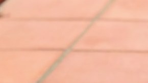 Foto: Lara Santos/Pexels