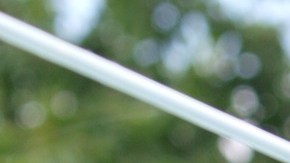 Los juguetes de tela debes lavarlos con agua tibia y tenderlos al aire libre para que se sequen.