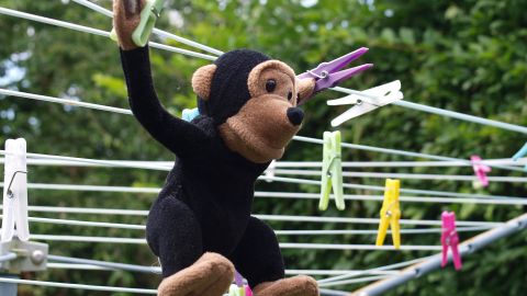 Los juguetes de tela debes lavarlos con agua tibia y tenderlos al aire libre para que se sequen.