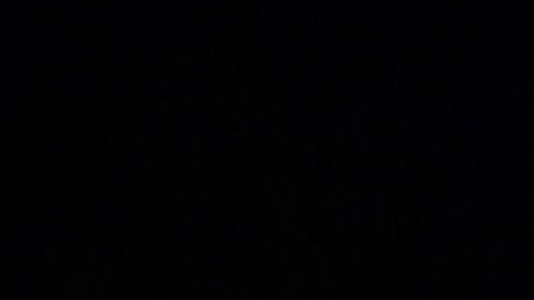 Francisco Trincao, nueva figura juvenil del Barça.