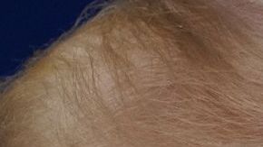 Donald Trump y Joe Biden.