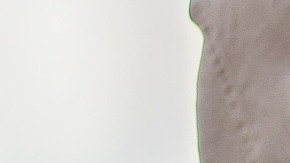 La impuntualidad caracteriza a estos signos.