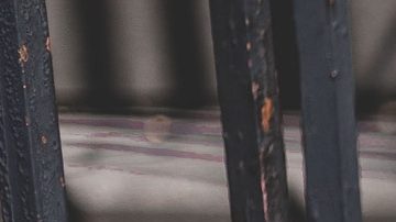 Desde que comenzó la cuarentena, "Pop" se pasa la tarde mirando el patio donde antes podía salir a jugar con los vecinos.