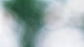 Un joven generó polémica por compartir en sus redes maltrato hacia su mascota