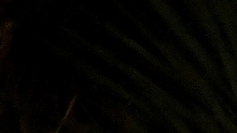 Undertaker vs. AJ Styles fue el evento estelar del sábado, en WM36.