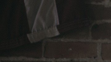 Así es como reacciona tu signo al distanciamiento social.